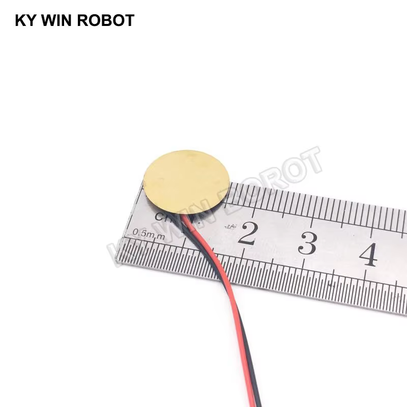 10 Pcs Piezoelectric Piezo Cer – R/Diy Electronics recenzja i cena