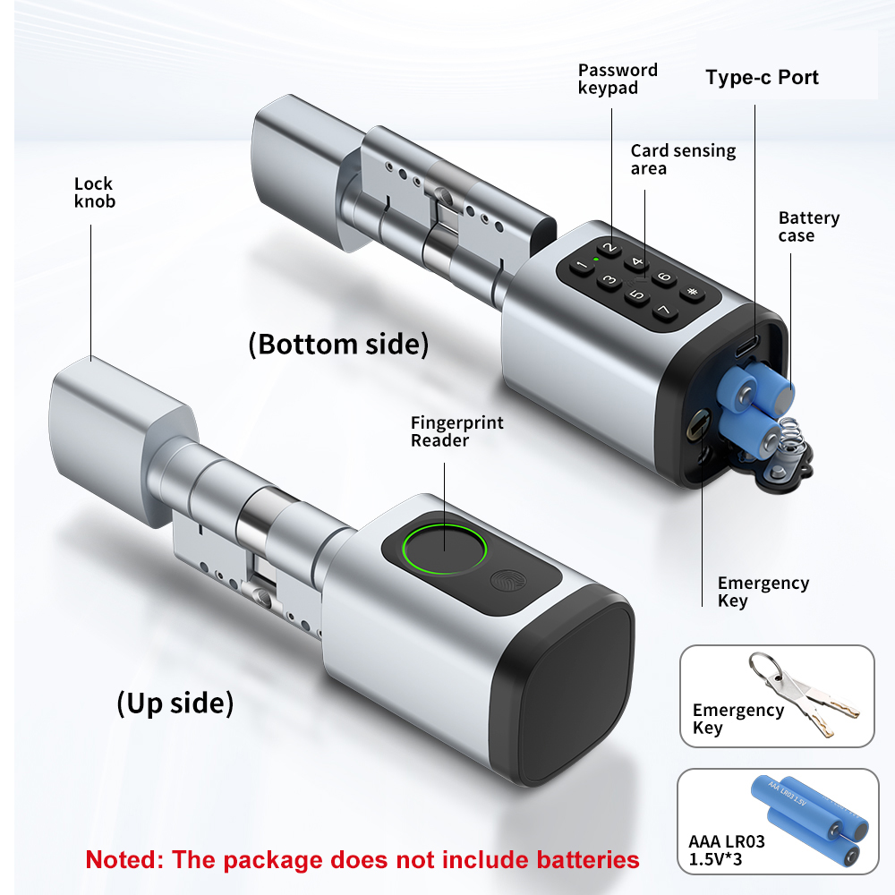 RAYKUBE V1 Tuya BLE TT Lock Sm – Diy Home Electronics recenzja i cena